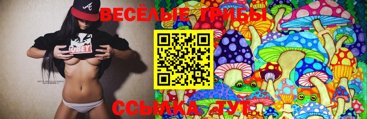 Галлюциногенные грибы ЛСД Ипатово
